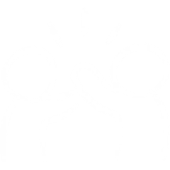 Manifex Infosolutions