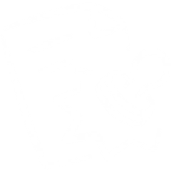 Manifex Infosolutions